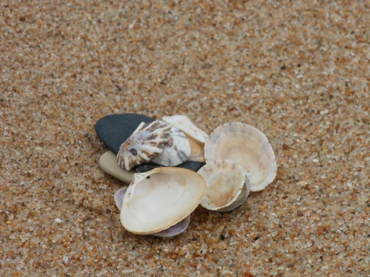 Amelia'S By The Sea Hotel Great Brak River Luaran gambar
